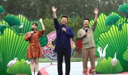 晓鼎爆料视频最新消息,揭秘事件背后惊人真相