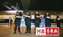 石家庄警方最新爆料,重大案件侦破背后的故事
