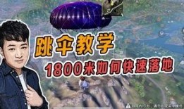 和平精英营地最新爆料,全新内容即将上线，敬请期待！